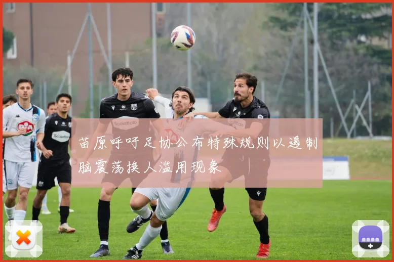 苗原呼吁足协公布特殊规则以遏制脑震荡换人滥用现象