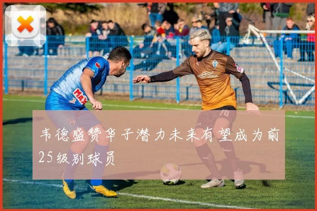 韦德盛赞华子潜力未来有望成为前25级别球员
