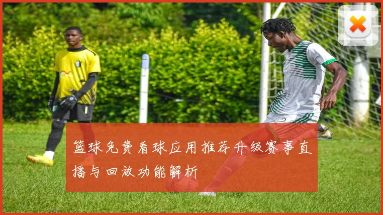 篮球免费看球应用推荐升级赛事直播与回放功能解析