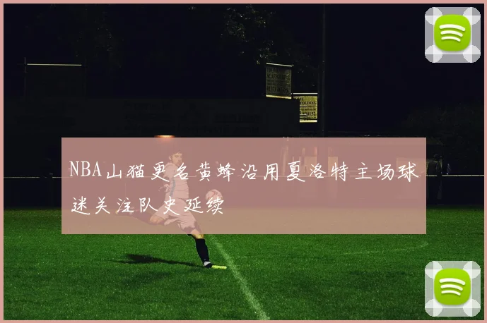 NBA山猫更名黄蜂沿用夏洛特主场球迷关注队史延续