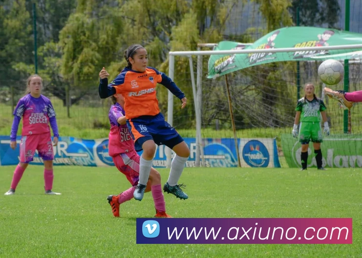 九游体育手机官网平台生态图