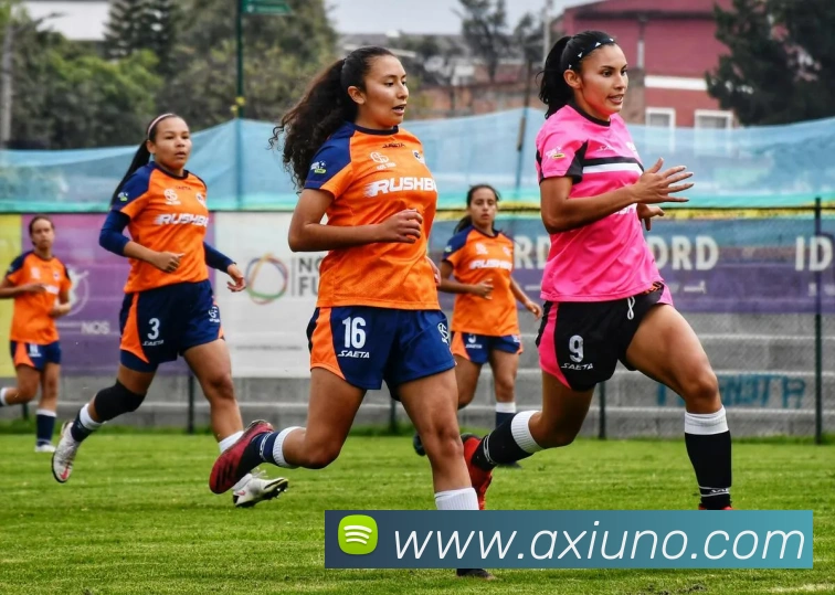 九游体育手机官网APP 封面图